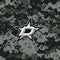 NHL Dallas Stars Camo Galaxy Buds Live Skin